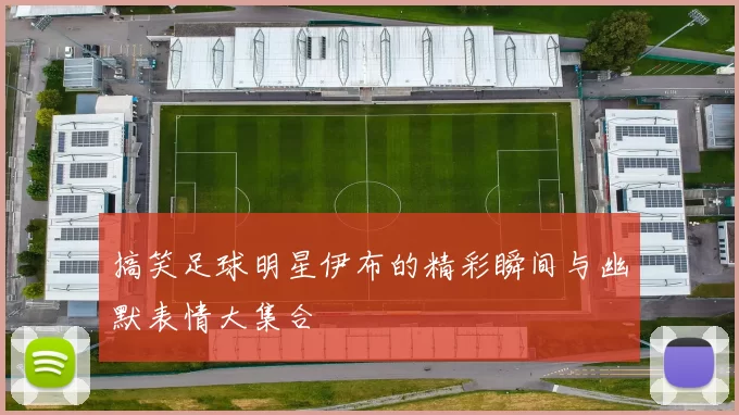 搞笑足球明星伊布的精彩瞬间与幽默表情大集合
