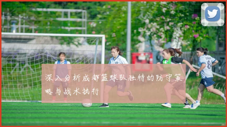 深入分析成都篮球队独特的防守策略与战术执行