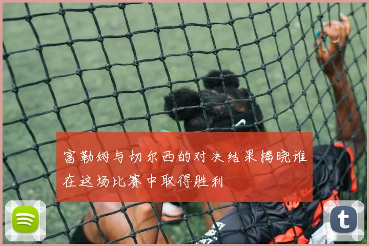 富勒姆与切尔西的对决结果揭晓谁在这场比赛中取得胜利
