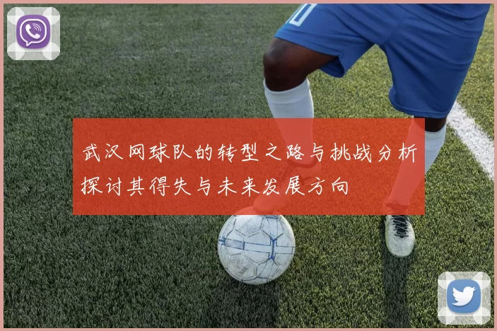 武汉网球队的转型之路与挑战分析探讨其得失与未来发展方向
