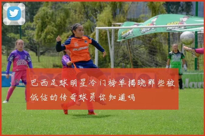 巴西足球明星冷门榜单揭晓那些被低估的传奇球员你知道吗
