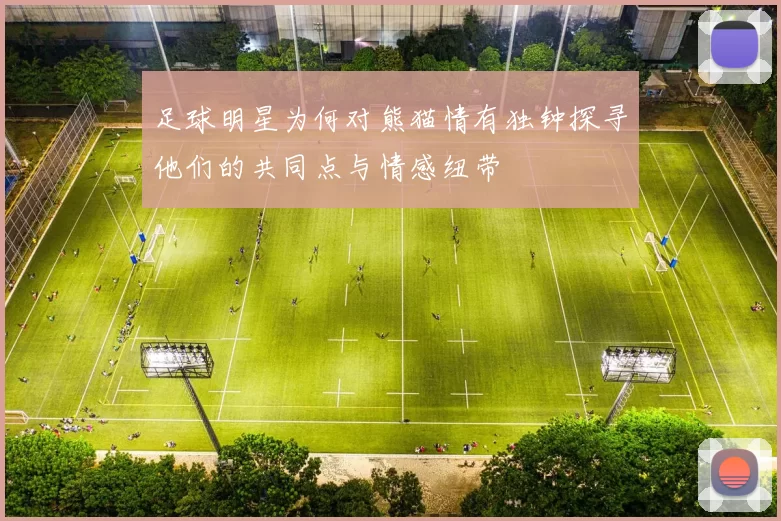 足球明星为何对熊猫情有独钟探寻他们的共同点与情感纽带