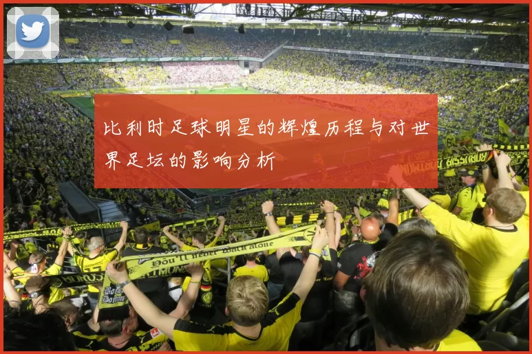 比利时足球明星的辉煌历程与对世界足坛的影响分析